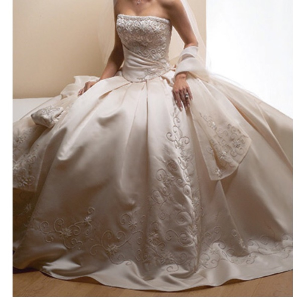 Ballgown Wedding Dress just like a dream! 🤤